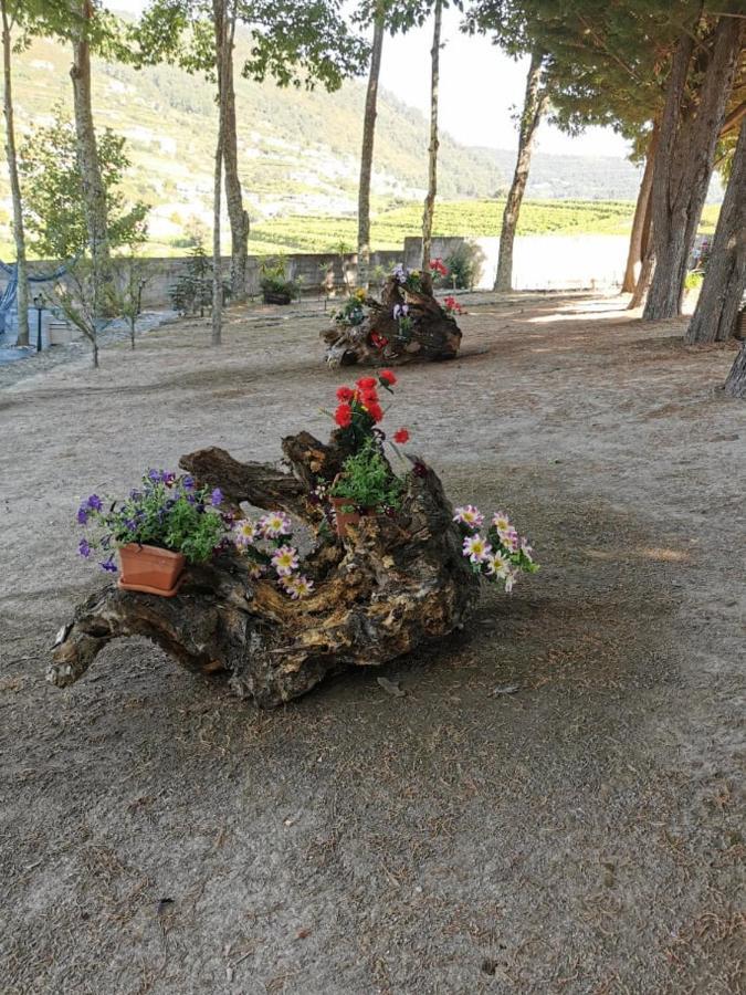 Quinta Da Cartida Βίλα Santa Marinha do Zêzere Εξωτερικό φωτογραφία