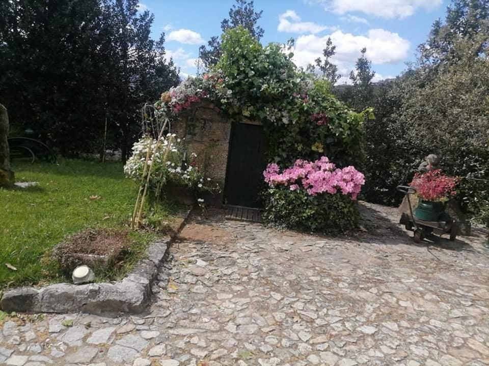 Quinta Da Cartida Βίλα Santa Marinha do Zêzere Εξωτερικό φωτογραφία