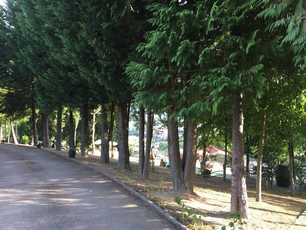 Quinta Da Cartida Βίλα Santa Marinha do Zêzere Εξωτερικό φωτογραφία
