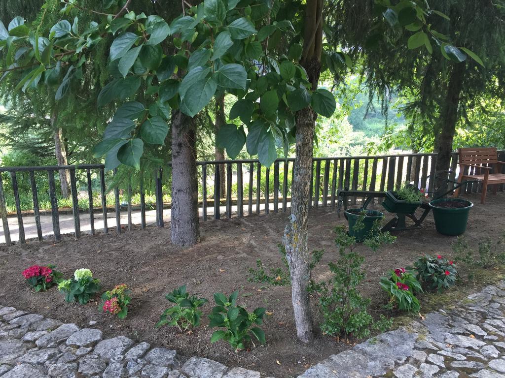 Quinta Da Cartida Βίλα Santa Marinha do Zêzere Εξωτερικό φωτογραφία