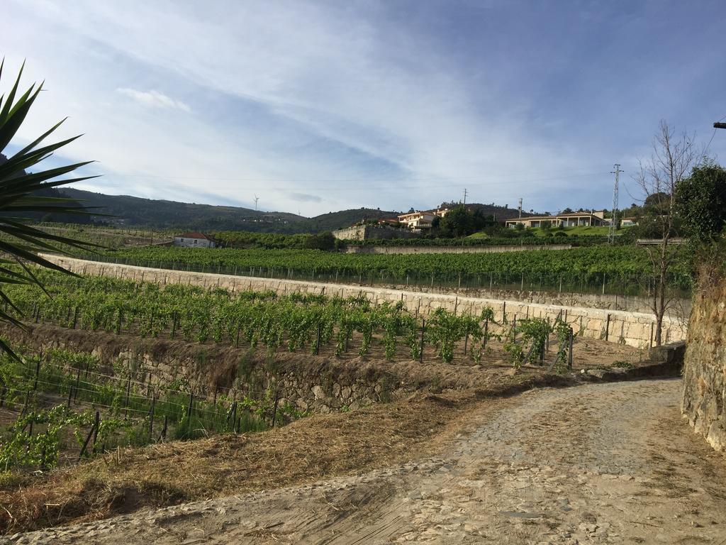 Quinta Da Cartida Βίλα Santa Marinha do Zêzere Εξωτερικό φωτογραφία
