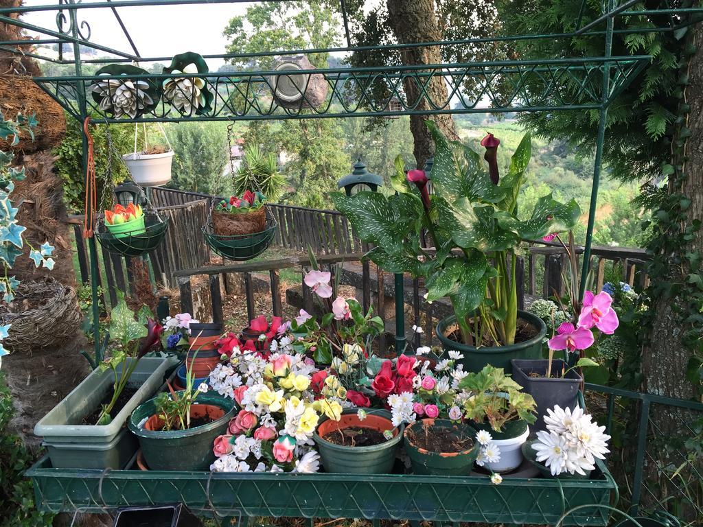 Quinta Da Cartida Βίλα Santa Marinha do Zêzere Εξωτερικό φωτογραφία