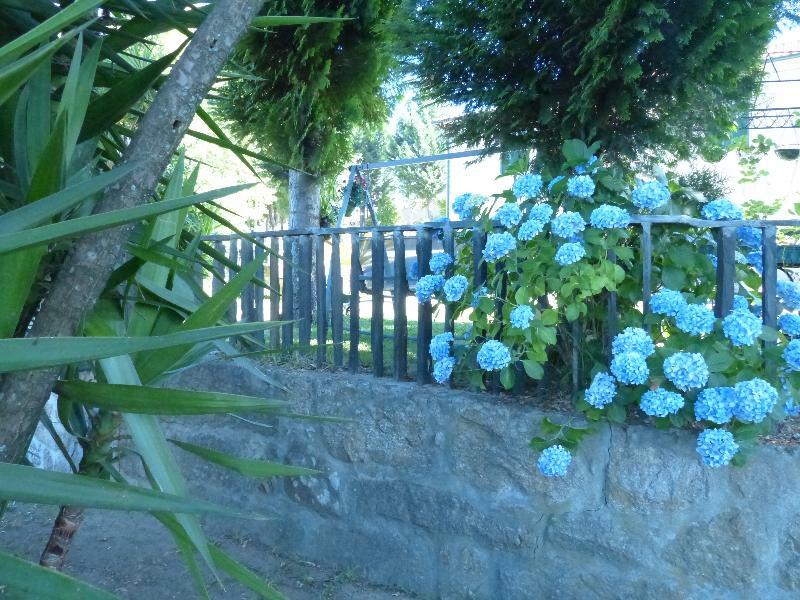 Quinta Da Cartida Βίλα Santa Marinha do Zêzere Εξωτερικό φωτογραφία
