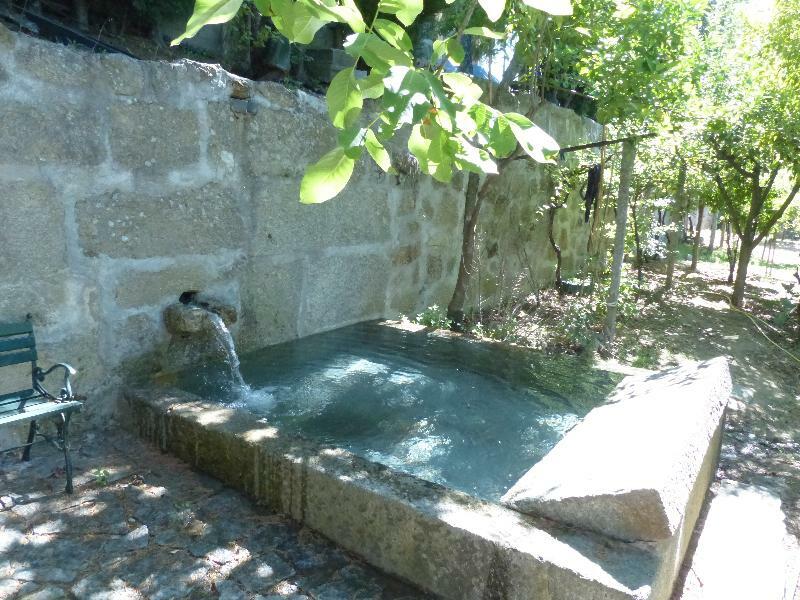 Quinta Da Cartida Βίλα Santa Marinha do Zêzere Εξωτερικό φωτογραφία